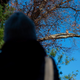A different bird watcher, likely safe from harassment through the power of compassionate justice